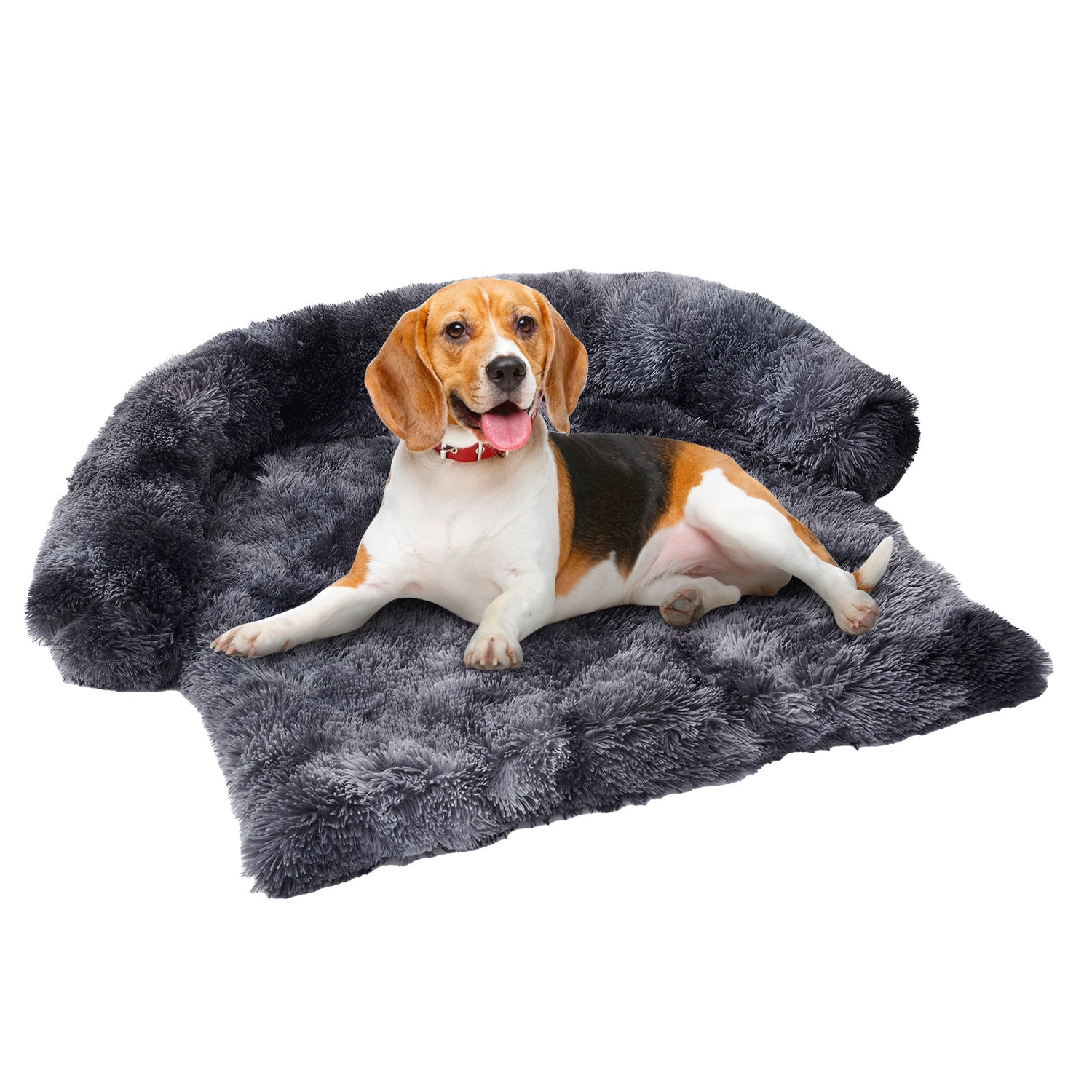 washable cat bed
plush pet bed
Cat Hammock Bed Elevated Pet Bed Moisture-Proof Cat Bed Pet Cot for Small Dogs Breathable Cat Bed Machine Washable Pet Bed Cat Bed for Indoor & Outdoor Comfortable Pet Hammock Iron Frame Cat Bed Pet Bed for Cats and Small Dogs
