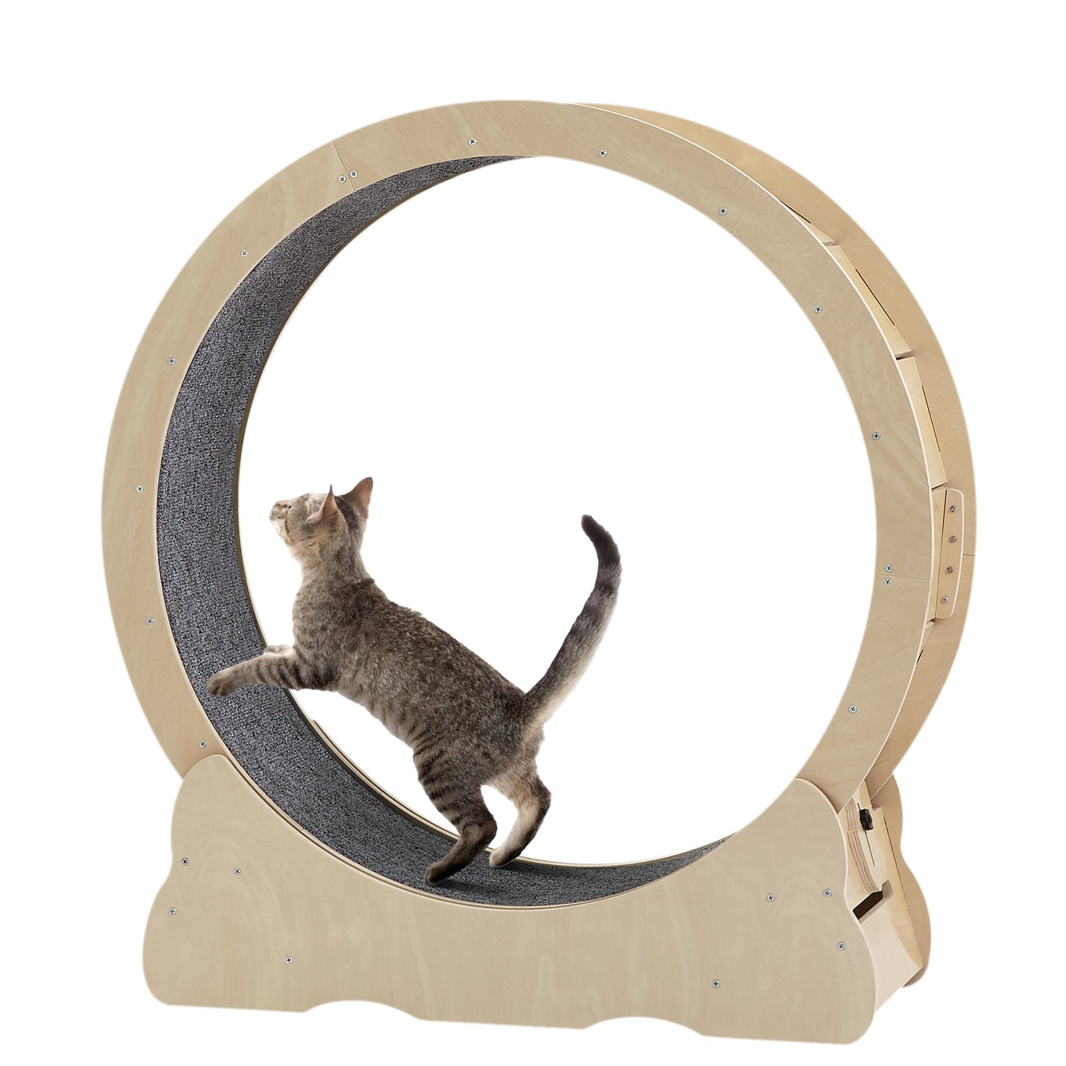 Accordion Cat Toy Interactive Cat Toy Cat Scratcher with Bell Magnetic Cat Toy Durable Cat Toy Scratch-Resistant Cat Toy Corrugated Paper Cat Toy Fun Cat Toy Indoor Cat Exercise Toy Unique Cat Toy
burrow bed for cats
Cat bed
pet accessories
Cat Exercise Wheels - Indoor Cat Treadmill/safe
quiet& space-saving design for active cats