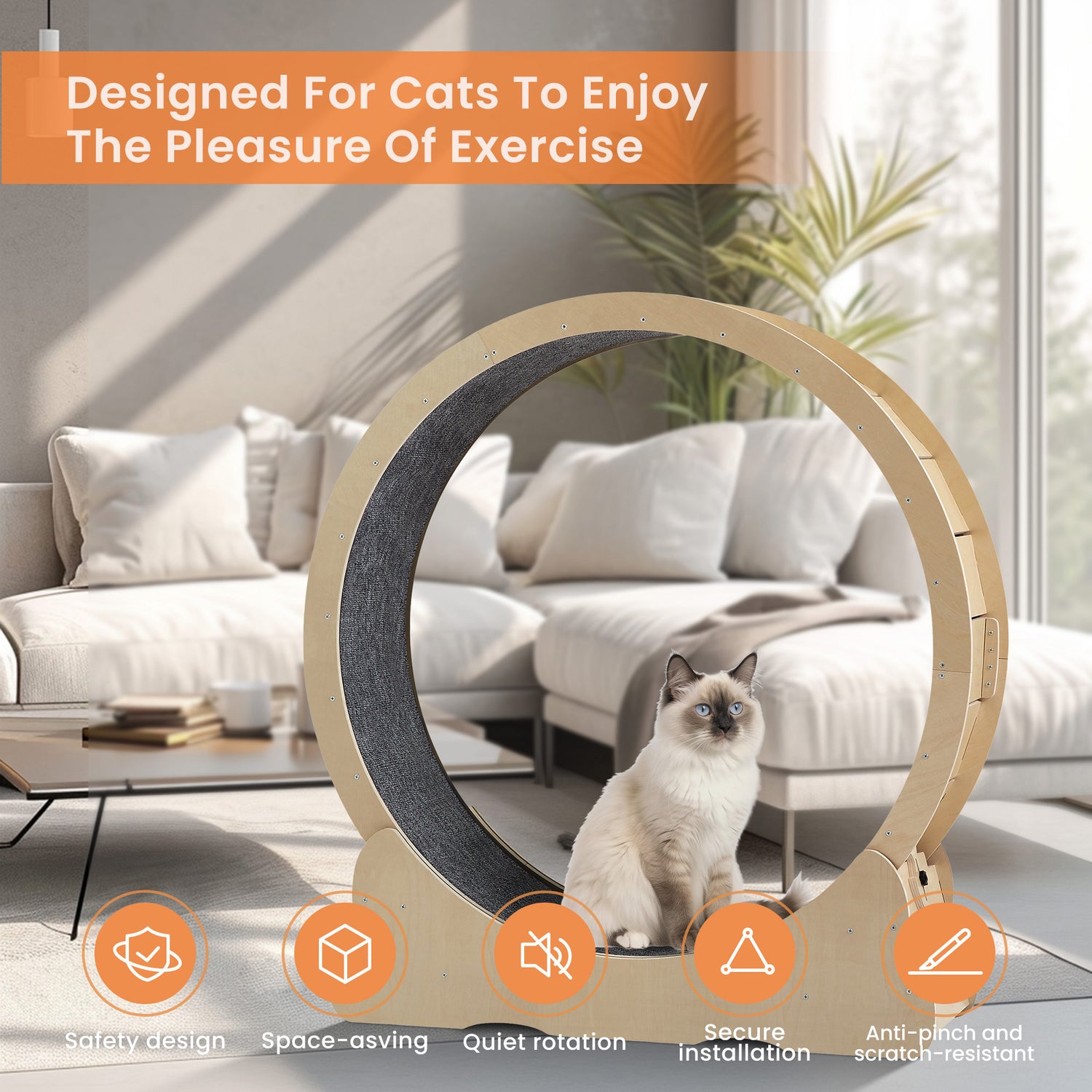 alt="Durable cat exercise wheel for weight manegement"