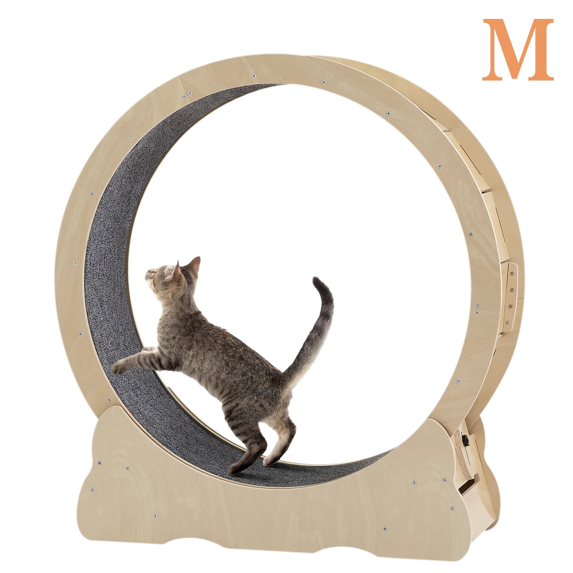 Accordion Cat Toy Interactive Cat Toy Cat Scratcher with Bell Magnetic Cat Toy Durable Cat Toy Scratch-Resistant Cat Toy Corrugated Paper Cat Toy Fun Cat Toy Indoor Cat Exercise Toy Unique Cat Toy
burrow bed for cats
Cat bed
pet accessories
Cat Exercise Wheels - Indoor Cat Treadmill/safe
quiet& space-saving design for active cats