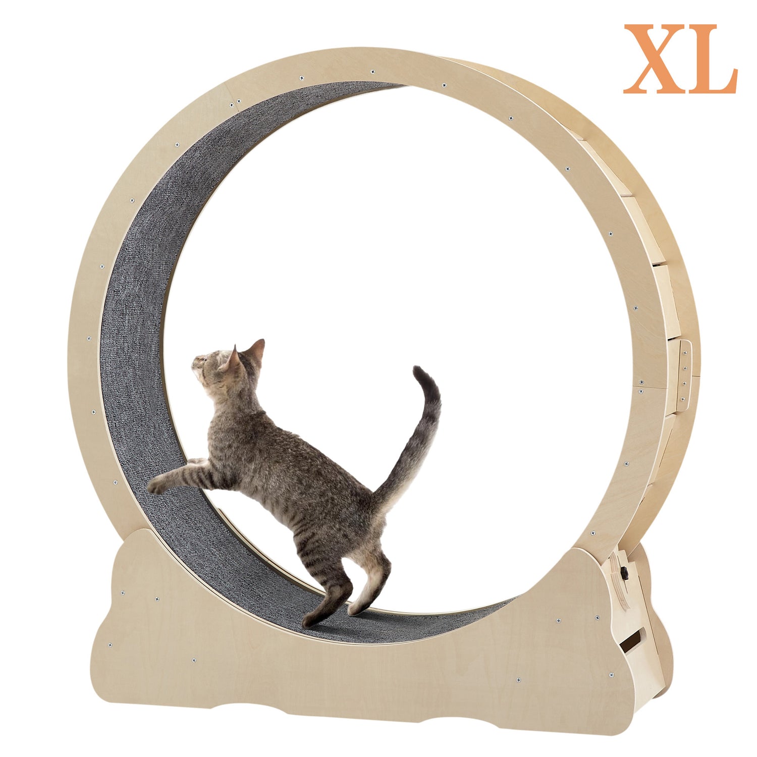 Accordion Cat Toy Interactive Cat Toy Cat Scratcher with Bell Magnetic Cat Toy Durable Cat Toy Scratch-Resistant Cat Toy Corrugated Paper Cat Toy Fun Cat Toy Indoor Cat Exercise Toy Unique Cat Toy
burrow bed for cats
Cat bed
pet accessories
Cat Exercise Wheels - Indoor Cat Treadmill/safe
quiet& space-saving design for active cats