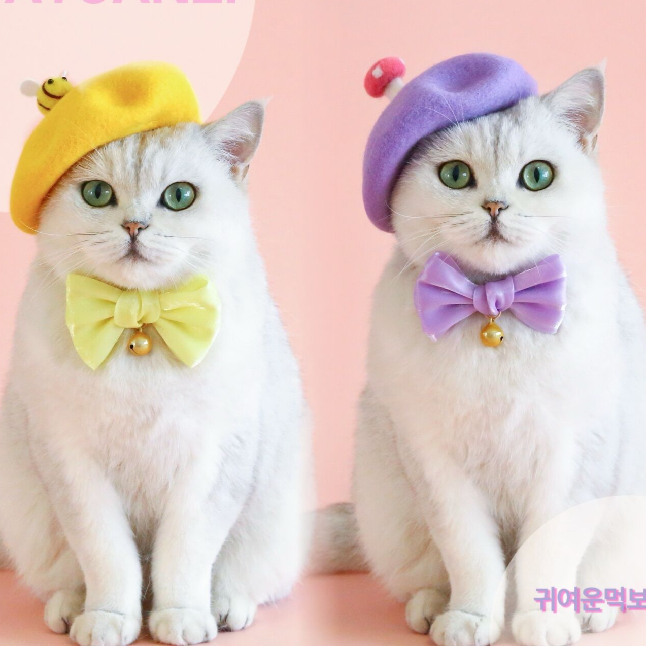 cat toy,cat bed,cat pendance,cat nail,hair remover,pet toys,pet clothes