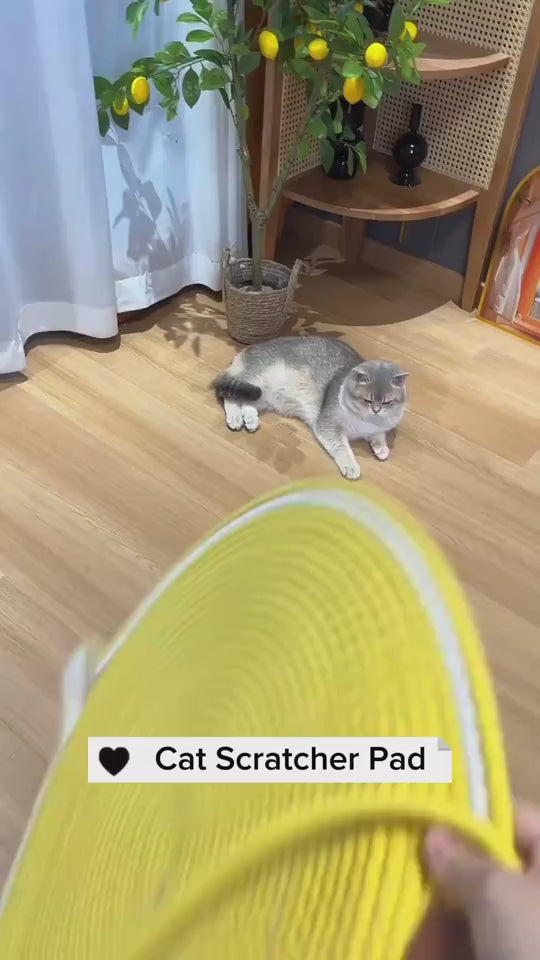 video
pet accessories
cat Litter Mat Litter Trapping Mat Waterproof Cat Mat Double Layer Litter Mat Honeycomb Cat Mat Cat Mat for Litter Box Non-Slip Cat Mat EVA Cat Litter Mat Cat Litter Scatter Control Easy Clean Cat Mat