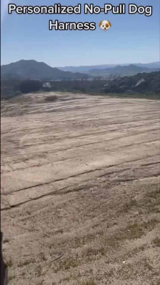 1.mp4 Pet Harness Dog Hand Holding Rope
Retractable Dog Leash • Dog Leash with LED Light • Automatic Dog Leash • Tangle-Free Pet Leash • Dog Leash with Waste Bag Holder • 3 Meter Dog Leash • Rechargeable Pet Leash • One-Button Retractable Leash • Night Light Dog Leash
Pet Dog Harness Reflective
SAFETY LED DOG HARNESS
This comfortable & breathable padded dog harness with quick snap buckles which make it easy to put on and take off.