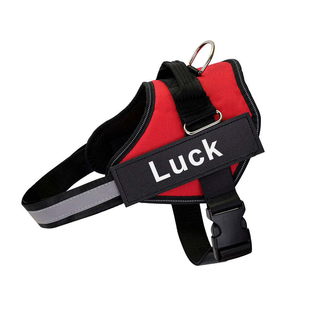 Pet Harness Dog Hand Holding Rope
Retractable Dog Leash • Dog Leash with LED Light • Automatic Dog Leash • Tangle-Free Pet Leash • Dog Leash with Waste Bag Holder • 3 Meter Dog Leash • Rechargeable Pet Leash • One-Button Retractable Leash • Night Light Dog Leash
Pet Dog Harness Reflective
SAFETY LED DOG HARNESS
This comfortable &amp;amp; breathable padded dog harness with quick snap buckles which make it easy to put on and take off.