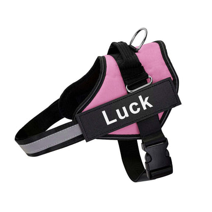 Pet Harness Dog Hand Holding Rope
Retractable Dog Leash • Dog Leash with LED Light • Automatic Dog Leash • Tangle-Free Pet Leash • Dog Leash with Waste Bag Holder • 3 Meter Dog Leash • Rechargeable Pet Leash • One-Button Retractable Leash • Night Light Dog Leash
Pet Dog Harness Reflective
SAFETY LED DOG HARNESS
This comfortable &amp;amp; breathable padded dog harness with quick snap buckles which make it easy to put on and take off.