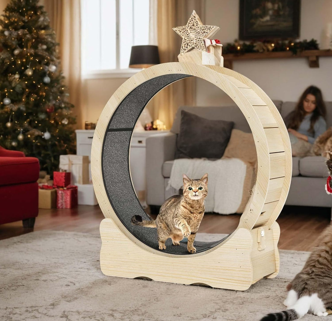 Accordion Cat Toy Interactive Cat Toy Cat Scratcher with Bell Magnetic Cat Toy Durable Cat Toy Scratch-Resistant Cat Toy Corrugated Paper Cat Toy Fun Cat Toy Indoor Cat Exercise Toy Unique Cat Toy
burrow bed for cats
Cat bed
pet accessories
Cat Exercise Wheels - Indoor Cat Treadmill/safe
quiet& space-saving design for active cats