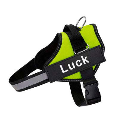Pet Harness Dog Hand Holding Rope
Retractable Dog Leash • Dog Leash with LED Light • Automatic Dog Leash • Tangle-Free Pet Leash • Dog Leash with Waste Bag Holder • 3 Meter Dog Leash • Rechargeable Pet Leash • One-Button Retractable Leash • Night Light Dog Leash
Pet Dog Harness Reflective
SAFETY LED DOG HARNESS
This comfortable &amp;amp; breathable padded dog harness with quick snap buckles which make it easy to put on and take off.