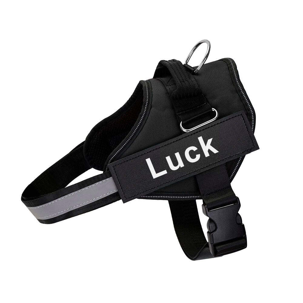 Pet Harness Dog Hand Holding Rope
Retractable Dog Leash • Dog Leash with LED Light • Automatic Dog Leash • Tangle-Free Pet Leash • Dog Leash with Waste Bag Holder • 3 Meter Dog Leash • Rechargeable Pet Leash • One-Button Retractable Leash • Night Light Dog Leash
Pet Dog Harness Reflective
SAFETY LED DOG HARNESS
This comfortable &amp;amp; breathable padded dog harness with quick snap buckles which make it easy to put on and take off.