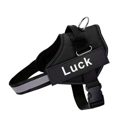 Pet Harness Dog Hand Holding Rope
Retractable Dog Leash • Dog Leash with LED Light • Automatic Dog Leash • Tangle-Free Pet Leash • Dog Leash with Waste Bag Holder • 3 Meter Dog Leash • Rechargeable Pet Leash • One-Button Retractable Leash • Night Light Dog Leash
Pet Dog Harness Reflective
SAFETY LED DOG HARNESS
This comfortable &amp;amp; breathable padded dog harness with quick snap buckles which make it easy to put on and take off.