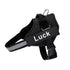 Pet Harness Dog Hand Holding Rope
Retractable Dog Leash • Dog Leash with LED Light • Automatic Dog Leash • Tangle-Free Pet Leash • Dog Leash with Waste Bag Holder • 3 Meter Dog Leash • Rechargeable Pet Leash • One-Button Retractable Leash • Night Light Dog Leash
Pet Dog Harness Reflective
SAFETY LED DOG HARNESS
This comfortable &amp; breathable padded dog harness with quick snap buckles which make it easy to put on and take off.