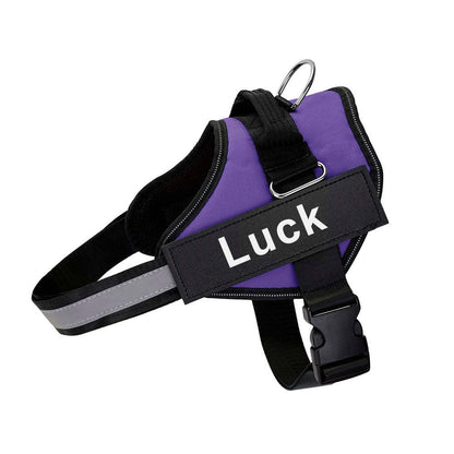 Pet Harness Dog Hand Holding Rope
Retractable Dog Leash • Dog Leash with LED Light • Automatic Dog Leash • Tangle-Free Pet Leash • Dog Leash with Waste Bag Holder • 3 Meter Dog Leash • Rechargeable Pet Leash • One-Button Retractable Leash • Night Light Dog Leash
Pet Dog Harness Reflective
SAFETY LED DOG HARNESS
This comfortable &amp;amp; breathable padded dog harness with quick snap buckles which make it easy to put on and take off.